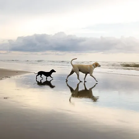 بيت للعطل Oyster - Part Of The The Bay Village With Pool, Gym And Direct Access, Pub, Restaurant, Tennis And Meadows Walks *